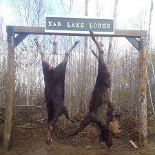 Northwestern Ontario Moose Hunting
