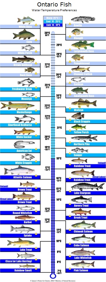 Lake Water Temperature Chart