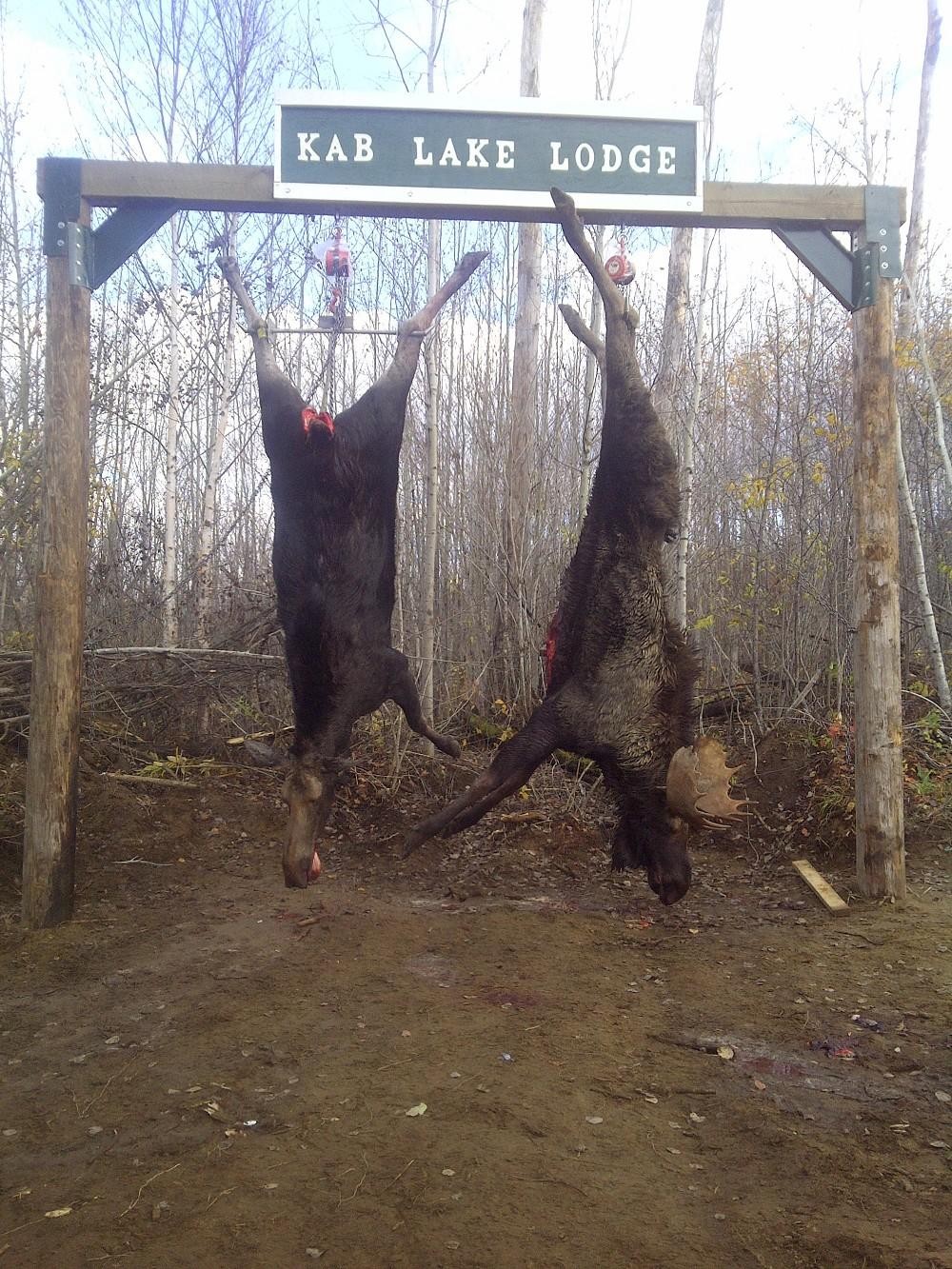 Bear Cabin Lodge